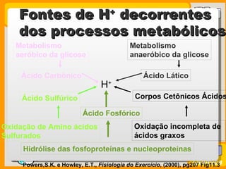 Fontes de H decorrentes          +

    dos processos metabólicos
   Metabolismo                              Metabolismo
   aeróbico da glicose                      anaeróbico da glicose

     Ácido Carbônico                             Ácido Lático
                                 H+
     Ácido Sulfúrico                          Corpos Cetônicos Ácidos

                           Ácido Fosfórico
Oxidação de Amino ácidos                      Oxidação incompleta de
Sulfurados                                    ácidos graxos
     Hidrólise das fosfoproteínas e nucleoproteínas
 Prof. Busato
                                                                     Química
     Powers,S.K. e Howley, E.T., Fisiologia do Exercício, (2000), pg207 Fig11.3
 