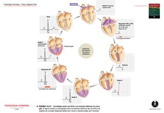 Sistema Nervoso Periférico Motor e Potencial de Ação Cardiaco 
