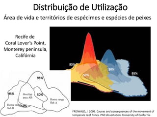 95%
50%
95%
50%
Área de vida e territórios de espécimes e espécies de peixes
95%
50% 95%
50%
Recife de
Coral Lover’s Point,
Monterey peninsula,
Califórnia
FREIWALD, J. 2009. Causes and consequences of the movement of
temperate reef fishes. PhD dissertation. University of California
Distribuição de Utilização
 
