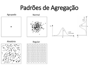 Padrões de Agregação
Agrupado Normal
Aleatório Regular
 