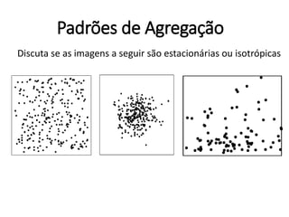 Padrões de Agregação
Discuta se as imagens a seguir são estacionárias ou isotrópicas
 