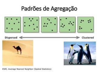 Padrões de Agregação
ESRI. Average Nearest Neighbor (Spatial Statistics)
 