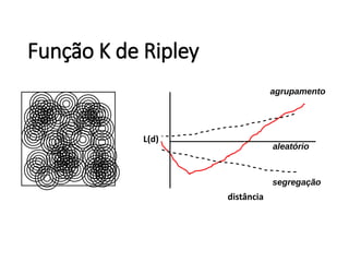 distância
L(d)
agrupamento
segregação
aleatório
Função K de Ripley
 