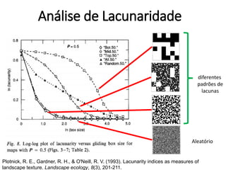 Plotnick, R. E., Gardner, R. H., & O'Neill, R. V. (1993). Lacunarity indices as measures of
landscape texture. Landscape ecology, 8(3), 201-211.
Aleatório
diferentes
padrões de
lacunas
Análise de Lacunaridade
 