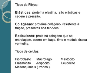 Tipos de Fibras:
Elásticas: proteína elastina, são elásticas e
cedem a pressão.
Colágenas: proteína colágeno, resistente a
tração, presentes nos tendões.
Reticulares: proteína colágeno que se
entrelaçam, ocorre em baço, timo e medula óssea
vermelha.
Tipos de células:
Fibroblasto Macrófago Mastócito
Plasmócito Adipócito Leucócito
Mesenquimais ( tronco )
 