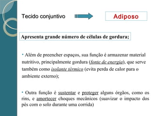 Tecido conjuntivoTecido conjuntivo Adiposo
• Outra função é sustentar e proteger alguns órgãos, como os
rins, e amortecer choques mecânicos (suavizar o impacto dos
pés com o solo durante uma corrida)
Apresenta grande número de células de gordura;
• Além de preencher espaços, sua função é armazenar material
nutritivo, principalmente gordura (fonte de energia), que serve
também como isolante térmico (evita perda de calor para o
ambiente externo);
 
