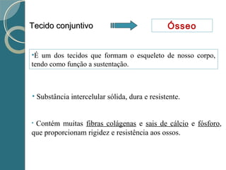 Tecido conjuntivoTecido conjuntivo Ósseo
• Contém muitas fibras colágenas e sais de cálcio e fósforo,
que proporcionam rigidez e resistência aos ossos.
•É um dos tecidos que formam o esqueleto de nosso corpo,
tendo como função a sustentação.
• Substância intercelular sólida, dura e resistente.
 
