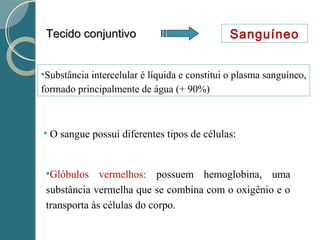 Tecido conjuntivoTecido conjuntivo Sanguíneo
•Substância intercelular é líquida e constitui o plasma sanguíneo,
formado principalmente de água (+ 90%)
• O sangue possui diferentes tipos de células:
•Glóbulos vermelhos: possuem hemoglobina, uma
substância vermelha que se combina com o oxigênio e o
transporta às células do corpo.
 