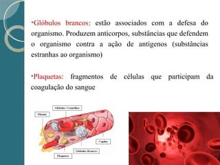 •Plaquetas: fragmentos de células que participam da
coagulação do sangue
•Glóbulos brancos:: estão associados com a defesa do
organismo. Produzem anticorpos, substâncias que defendem
o organismo contra a ação de antígenos (substâncias
estranhas ao organismo)
 