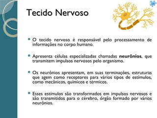 Tecido NervosoTecido Nervoso
 O tecido nervoso é responsável pelo processamento de
informações no corpo humano.
 Apresenta células especializadas chamadas neurônios, que
transmitem impulsos nervosos pelo organismo.
 Os neurônios apresentam, em suas terminações, estruturas
que agem como receptores para vários tipos de estímulos,
como mecânicos, químicos e térmicos.
 Esses estímulos são transformados em impulsos nervosos e
são transmitidos para o cérebro, órgão formado por vários
neurônios.
 