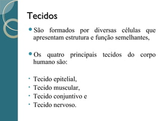 TecidosTecidos
São formados por diversas células que
apresentam estrutura e função semelhantes,
Os quatro principais tecidos do corpo
humano são:
• Tecido epitelial,
• Tecido muscular,
• Tecido conjuntivo e
• Tecido nervoso.
 