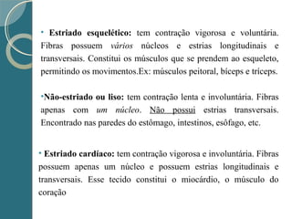 • Estriado esquelético: tem contração vigorosa e voluntária.
Fibras possuem vários núcleos e estrias longitudinais e
transversais. Constitui os músculos que se prendem ao esqueleto,
permitindo os movimentos.Ex: músculos peitoral, bíceps e tríceps.
•Não-estriado ou liso: tem contração lenta e involuntária. Fibras
apenas com um núcleo. Não possui estrias transversais.
Encontrado nas paredes do estômago, intestinos, esôfago, etc.
• Estriado cardíaco: tem contração vigorosa e involuntária. Fibras
possuem apenas um núcleo e possuem estrias longitudinais e
transversais. Esse tecido constitui o miocárdio, o músculo do
coração
 
