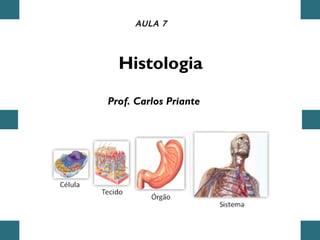 Histologia
AULA 7
Prof. Carlos Priante
 