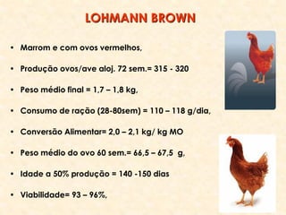 • Marrom e com ovos vermelhos,
• Produção ovos/ave aloj. 72 sem.= 315 - 320
• Peso médio final = 1,7 – 1,8 kg,
• Consumo de ração (28-80sem) = 110 – 118 g/dia,
• Conversão Alimentar= 2,0 – 2,1 kg/ kg MO
• Peso médio do ovo 60 sem.= 66,5 – 67,5 g,
• Idade a 50% produção = 140 -150 dias
• Viabilidade= 93 – 96%,
LOHMANN BROWN
 