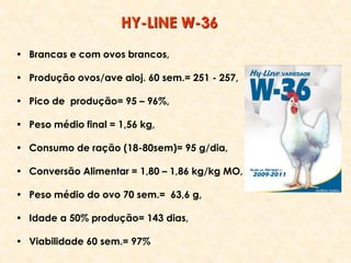 • Brancas e com ovos brancos,
• Produção ovos/ave aloj. 60 sem.= 251 - 257,
• Pico de produção= 95 – 96%,
• Peso médio final = 1,56 kg,
• Consumo de ração (18-80sem)= 95 g/dia,
• Conversão Alimentar = 1,80 – 1,86 kg/kg MO,
• Peso médio do ovo 70 sem.= 63,6 g,
• Idade a 50% produção= 143 dias,
• Viabilidade 60 sem.= 97%
HY-LINE W-36
 