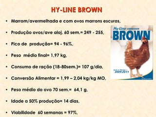 • Marrom/avermelhada e com ovos marrons escuros,
• Produção ovos/ave aloj. 60 sem.= 249 - 255,
• Pico de produção= 94 - 96%,
• Peso médio final= 1,97 kg,
• Consumo de ração (18-80sem.)= 107 g/dia,
• Conversão Alimentar = 1,99 – 2,04 kg/kg MO,
• Peso médio do ovo 70 sem.= 64,1 g,
• Idade a 50% produção= 14 dias,
• Viabilidade 60 semanas = 97%,
HY-LINE BROWN
 