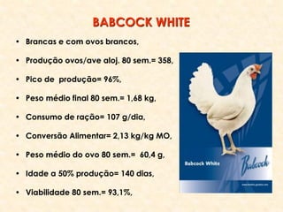 • Brancas e com ovos brancos,
• Produção ovos/ave aloj. 80 sem.= 358,
• Pico de produção= 96%,
• Peso médio final 80 sem.= 1,68 kg,
• Consumo de ração= 107 g/dia,
• Conversão Alimentar= 2,13 kg/kg MO,
• Peso médio do ovo 80 sem.= 60,4 g,
• Idade a 50% produção= 140 dias,
• Viabilidade 80 sem.= 93,1%,
BABCOCK WHITE
 