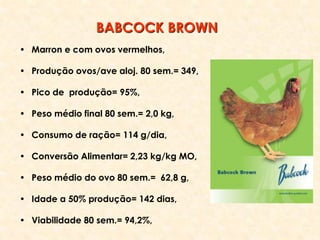 • Marron e com ovos vermelhos,
• Produção ovos/ave aloj. 80 sem.= 349,
• Pico de produção= 95%,
• Peso médio final 80 sem.= 2,0 kg,
• Consumo de ração= 114 g/dia,
• Conversão Alimentar= 2,23 kg/kg MO,
• Peso médio do ovo 80 sem.= 62,8 g,
• Idade a 50% produção= 142 dias,
• Viabilidade 80 sem.= 94,2%,
BABCOCK BROWN
 