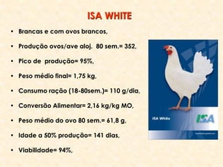 • Brancas e com ovos brancos,
• Produção ovos/ave aloj. 80 sem.= 352,
• Pico de produção= 95%,
• Peso médio final= 1,75 kg,
• Consumo ração (18-80sem.)= 110 g/dia,
• Conversão Alimentar= 2,16 kg/kg MO,
• Peso médio do ovo 80 sem.= 61,8 g,
• Idade a 50% produção= 141 dias,
• Viabilidade= 94%,
ISA WHITE
 