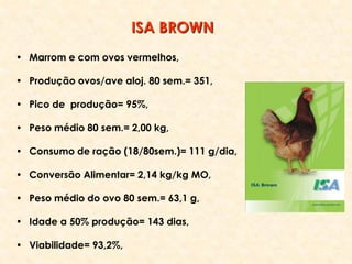• Marrom e com ovos vermelhos,
• Produção ovos/ave aloj. 80 sem.= 351,
• Pico de produção= 95%,
• Peso médio 80 sem.= 2,00 kg,
• Consumo de ração (18/80sem.)= 111 g/dia,
• Conversão Alimentar= 2,14 kg/kg MO,
• Peso médio do ovo 80 sem.= 63,1 g,
• Idade a 50% produção= 143 dias,
• Viabilidade= 93,2%,
ISA BROWN
 