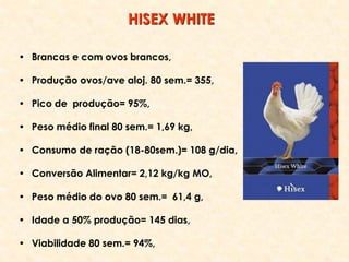 • Brancas e com ovos brancos,
• Produção ovos/ave aloj. 80 sem.= 355,
• Pico de produção= 95%,
• Peso médio final 80 sem.= 1,69 kg,
• Consumo de ração (18-80sem.)= 108 g/dia,
• Conversão Alimentar= 2,12 kg/kg MO,
• Peso médio do ovo 80 sem.= 61,4 g,
• Idade a 50% produção= 145 dias,
• Viabilidade 80 sem.= 94%,
HISEX WHITE
 