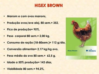 • Marrom e com ovos marrons,
• Produção ovos/ave aloj. 80 sem.= 352,
• Pico de produção= 95%,
• Peso corporal 80 sem.= 2,00 kg,
• Consumo de ração (18-80sem.)= 112 g/dia,
• Conversão alimentar= 2,17 kg/kg ovo,
• Peso médio do ovo 80 sem.= 62,5 g,
• Idade a 50% produção= 143 dias,
• Viabilidade 80 sem.= 94,2%,
HISEX BROWN
 