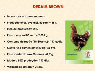 • Marrom e com ovos marrons,
• Produção ovos/ave aloj. 80 sem.= 351,
• Pico de produção= 95%,
• Peso corporal 80 sem.= 2,00 kg,
• Consumo de ração (18-80sem.)= 113 g/dia,
• Conversão alimentar= 2,20 kg/kg ovo,
• Peso médio do ovo 80 sem.= 62,7 g,
• Idade a 50% produção= 143 dias,
• Viabilidade 80 sem.= 94,2%,
DEKALB BROWN
 
