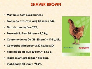 • Marrom e com ovos brancos,
• Produção ovos/ave aloj. 80 sem.= 349,
• Pico de produção= 95%,
• Peso médio final 80 sem.= 2,0 kg,
• Consumo de ração (18-80sem.)= 114 g/dia,
• Conversão Alimentar= 2,22 kg/kg MO,
• Peso médio do ovo 80 sem.= 63,2 g,
• Idade a 50% produção= 145 dias,
• Viabilidade 80 sem.= 94,2%,
SHAVER BROWN
 