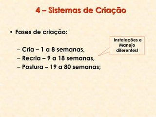 4 – Sistemas de Criação
• Fases de criação:
– Cria – 1 a 8 semanas,
– Recria – 9 a 18 semanas,
– Postura – 19 a 80 semanas;
Instalações e
Manejo
diferentes!
 