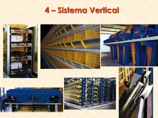 4 – Sistema Vertical
 