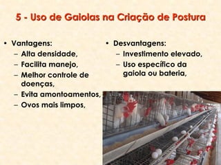 5 - Uso de Gaiolas na Criação de Postura
• Vantagens:
– Alta densidade,
– Facilita manejo,
– Melhor controle de
doenças,
– Evita amontoamentos,
– Ovos mais limpos,
• Desvantagens:
– Investimento elevado,
– Uso específico da
gaiola ou bateria,
 