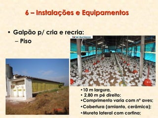 6 – Instalações e Equipamentos
• Galpão p/ cria e recria:
– Piso
•10 m largura,
• 2,80 m pé direito;
•Comprimento varia com nº aves;
•Cobertura (amianto, cerâmica);
•Mureta lateral com cortina;
 