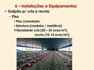 6 – Instalações e Equipamentos
• Galpão p/ cria e recria:
– Piso
•Piso cimentado;
•Estrutura (madeira / metálica);
Densidade cria (20 – 25 aves/m2),
recria (10-14 aves/m2);
 