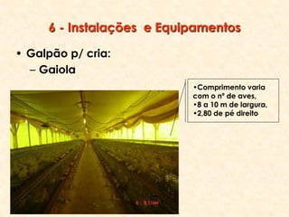 6 - Instalações e Equipamentos
• Galpão p/ cria:
– Gaiola
•Comprimento varia
com o nº de aves,
•8 a 10 m de largura,
•2,80 de pé direito
 