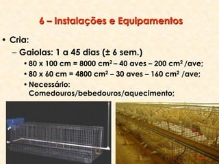 6 – Instalações e Equipamentos
• Cria:
– Gaiolas: 1 a 45 dias (± 6 sem.)
•80 x 100 cm = 8000 cm2 – 40 aves – 200 cm2 /ave;
•80 x 60 cm = 4800 cm2 – 30 aves – 160 cm2 /ave;
•Necessário:
Comedouros/bebedouros/aquecimento;
 