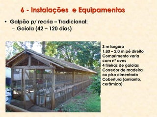 6 - Instalações e Equipamentos
• Galpão p/ recria – Tradicional:
– Gaiola (42 – 120 dias)
3 m largura
1,80 – 2,0 m pé direito
Comprimento varia
com nº aves
4 fileiras de gaiolas
Corredor de madeira
ou piso cimentado
Cobertura (amianto,
cerâmica)
 