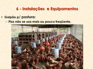 6 - Instalações e Equipamentos
• Galpão p/ postura:
– Piso não se usa mais ou pouco freqüente,
 
