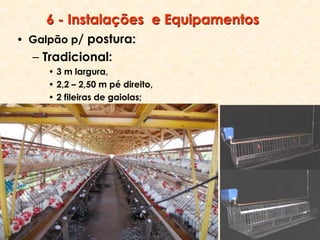 6 - Instalações e Equipamentos
• Galpão p/ postura:
– Tradicional:
• 3 m largura,
• 2,2 – 2,50 m pé direito,
• 2 fileiras de gaiolas;
 