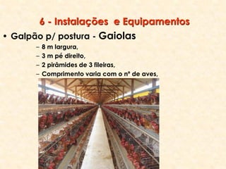 6 - Instalações e Equipamentos
• Galpão p/ postura - Gaiolas
– 8 m largura,
– 3 m pé direito,
– 2 pirâmides de 3 fileiras,
– Comprimento varia com o nº de aves,
 