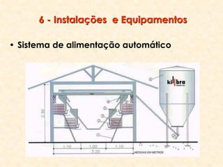 6 - Instalações e Equipamentos
• Sistema de alimentação automático
 