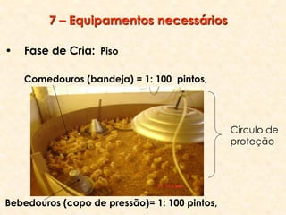 • Fase de Cria: Piso
Comedouros (bandeja) = 1: 100 pintos,
Bebedouros (copo de pressão)= 1: 100 pintos,
7 – Equipamentos necessários
Círculo de
proteção
 