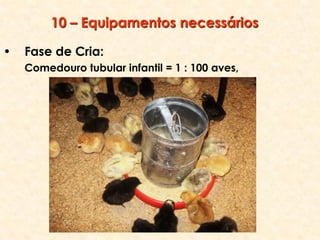 • Fase de Cria:
Comedouro tubular infantil = 1 : 100 aves,
10 – Equipamentos necessários
 