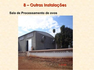 8 – Outras Instalações
Sala de Processamento de ovos
 