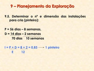9 – Planejamento da Exploração
9.5. Determinar o nº e dimensão das instalações
para cria (pinteiro):
P = 56 dias – 8 semanas,
D = 14 dias – 2 semanas
70 dias 10 semanas
I = P + D = 8 + 2 = 0,83 1 pinteiro
E 12
 