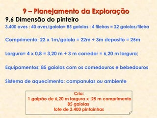 9.6 Dimensão do pinteiro
3.400 aves : 40 aves/gaiola= 85 gaiolas : 4 fileiras = 22 gaiolas/fileira
Comprimento: 22 x 1m/gaiola = 22m + 3m deposito = 25m
Largura= 4 x 0,8 = 3,20 m + 3 m corredor = 6,20 m largura;
Equipamentos: 85 gaiolas com os comedouros e bebedouros
Sistema de aquecimento: campanulas ou ambiente
9 – Planejamento da Exploração
Cria:
1 galpão de 6,20 m largura x 25 m comprimento
85 gaiolas
lote de 3.400 pintainhas
 