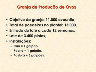 Granja de Produção de Ovos
• Objetivo da granja: 11.000 ovos/dia,
• Total de poedeiras no plantel: 16.000,
• Entrada do lote a cada 12 semanas,
• Lote de 3.400 pintos,
• Instalações:
– Cria = 1 galpão,
– Recria = 1 galpão,
– Postura = 5 galpões.
 