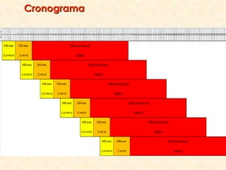 Cronograma
 