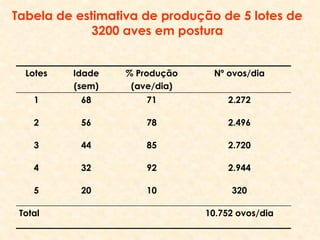 Tabela de estimativa de produção de 5 lotes de
3200 aves em postura
Lotes Idade
(sem)
% Produção
(ave/dia)
Nº ovos/dia
1 68 71 2.272
2 56 78 2.496
3 44 85 2.720
4 32 92 2.944
5 20 10 320
Total 10.752 ovos/dia
 