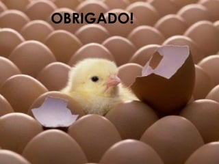 OBRIGADO!
 