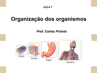 Organização dos organismos
AULA 7
Prof. Carlos Priante
 